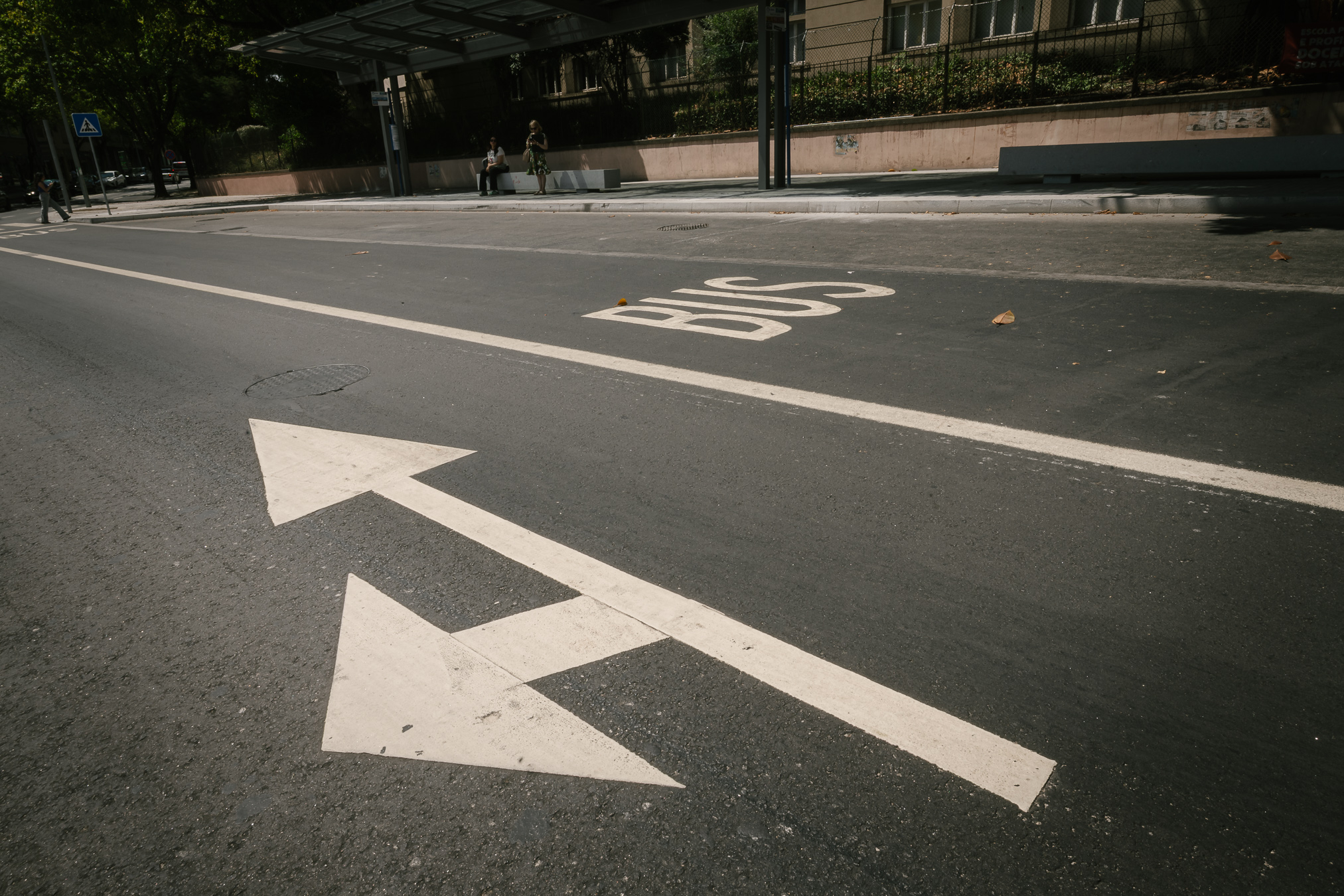 Porto cria novos corredores de transporte público na Avenida de Fernão de Magalhães